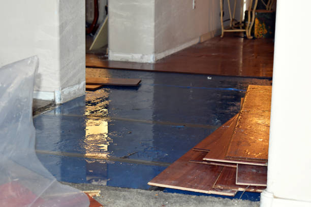 Professional Water Damage Restoration technician working in Surry, ME